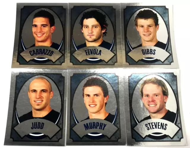 Popular--2009 Select AFL FOIL Sticker Team Set Carlton (6)