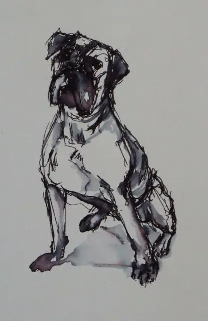 Original signed small pen & ink drawing wash of a pug bull dog on paper