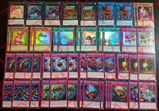 paleozoic yugioh deck Amazon.com: Complete Custom Deck for Yu-Gi-Oh!