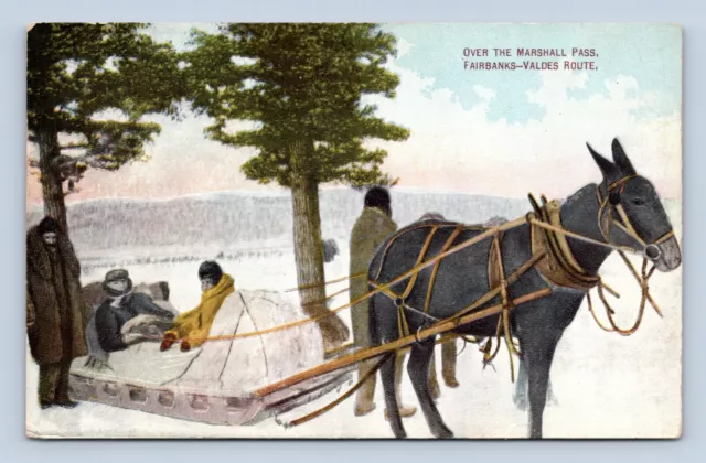 Horse Drawn Sled Marshall Pass Fairbanks-Valdes Alaska AK UNP DB Postcard N14