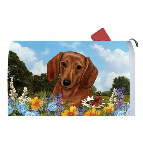 Magnetic Mailbox Wrap (Summer) - Red Dachshund 56039