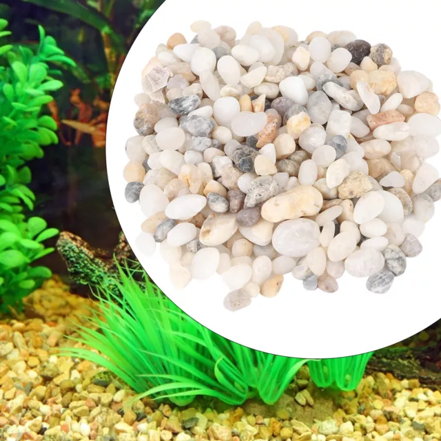 New Natural Sand Stone Gravel Landscaping Décoration Pour Fish Tank Aquarium Qcs 3