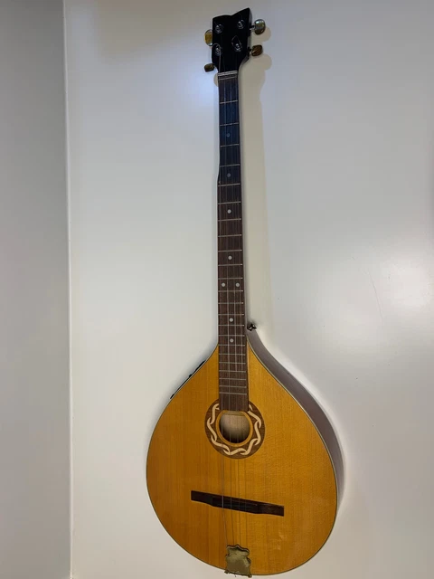 MANDOLIN CELTIC STARCRAFTER BOUZOUKI GITARRE EUR 499 99 PicClick FR
