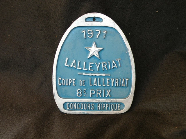 PLAQUE CONCOURS HIPPIQUE Bronze Sculpté XIX° Décor PROFIL TÊTE DE
