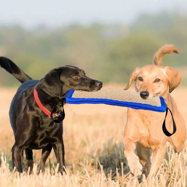 Bastone morso cane facile da afferrare interattivo resistente ai morsi cuscino addestramento morsi cane