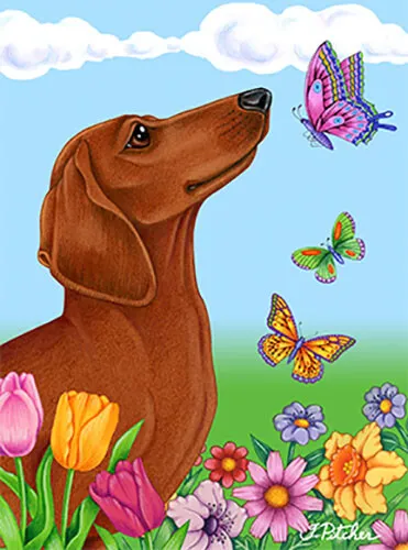 Butterfly House Flag - Red Dachshund 98039