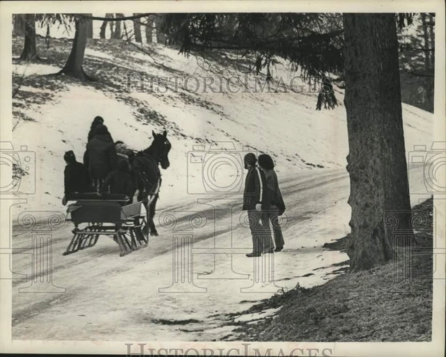 1972 Press Photo Horse-drawn sleigh in Washington Park, Albany, New York