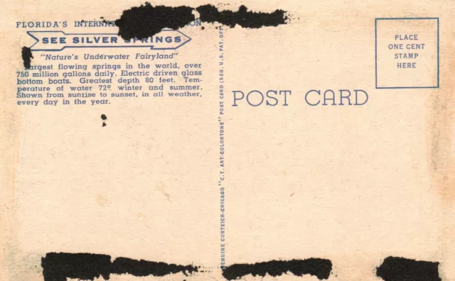 Vintage Postcard 1920's Airplane View of Silver Springs Florida FL 2