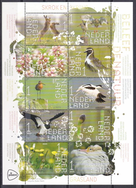 Netherlands, Fauna, Birds, Animals, Nature MNH / 2023