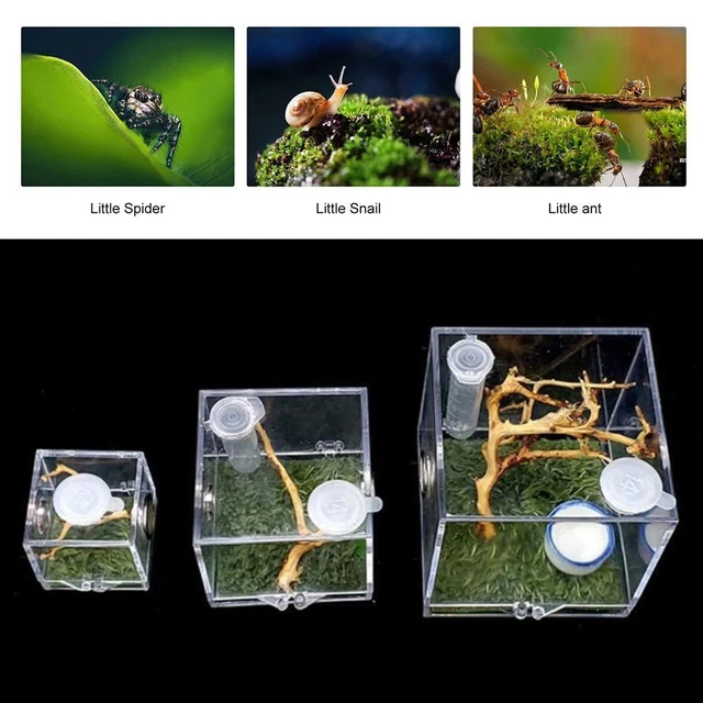 Acrylic Jumping Spider Breeding Box Spider habitat Breeding Cage Insect Box