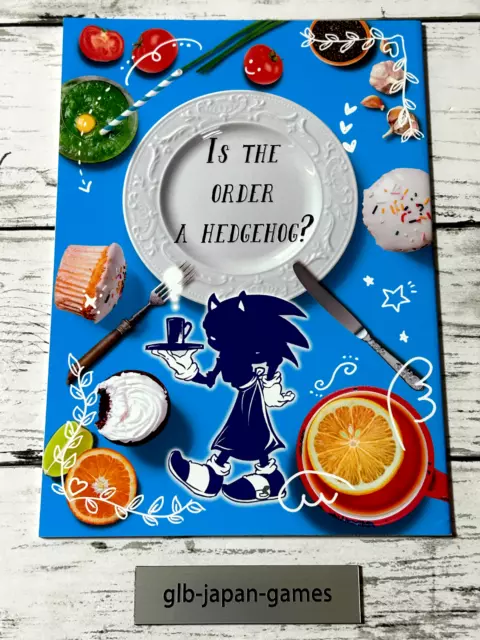 SONIC THE HEDGEHOG Doujinshi SILVER X BLAZE (B5 36pages) mitsuki Sky High