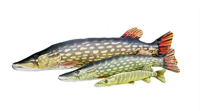 Coussin Poisson GABY – Amour / Grass Carp – Réaliste – Idée Cadeau Pêcheur