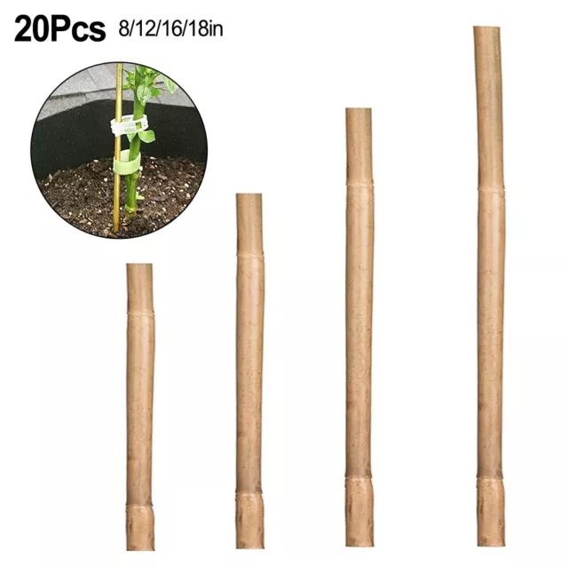 Eco Friendly Bamboo Garden Support Stakes 20 Pieces Stable and Reliable