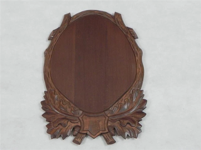 Escudo de Trofeo para Preparados Nuevo Tallado Corzo Gamuza Mufflon 58.1.2
