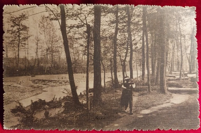 Cartolina Fantasia Con Poesia  Petrarca 1914