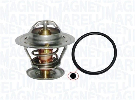 Termostato auto: funzione e sintomi AUTODOC