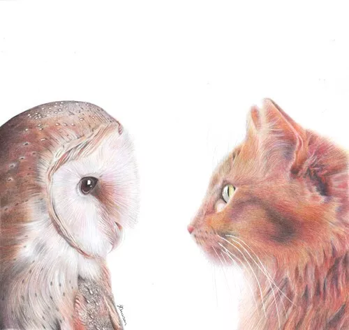 The Owl and the Pussycat Limited Edition Giclee Print Gift Artist Signed