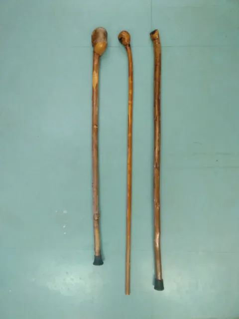 Vintage Root Ball Walking Sticks X 3, Collection   ❤️CHARITY