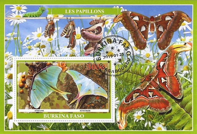 Block Used Butterflies Papillons Butterflies Les Papillons