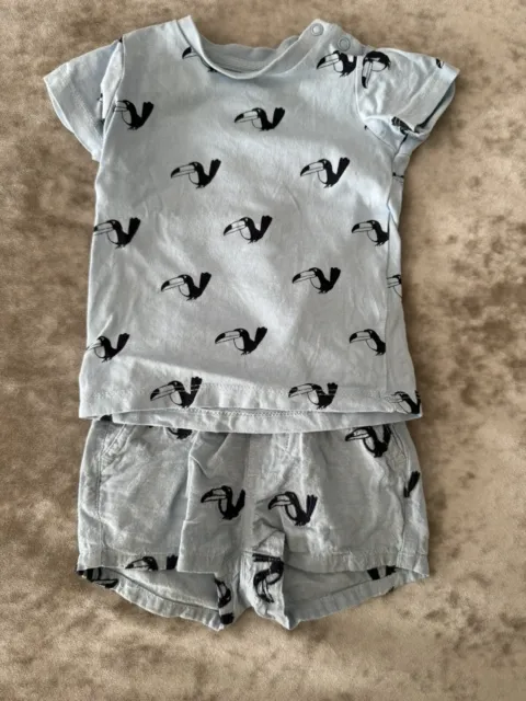 Seed Heritage Baby Shorts Tshirt Outfit Set Sz 000