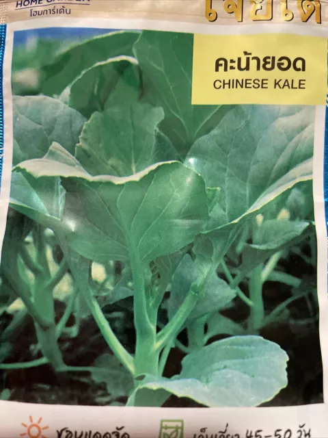 Chinese Kale (คะน้ายอด) 2,190 Seeds