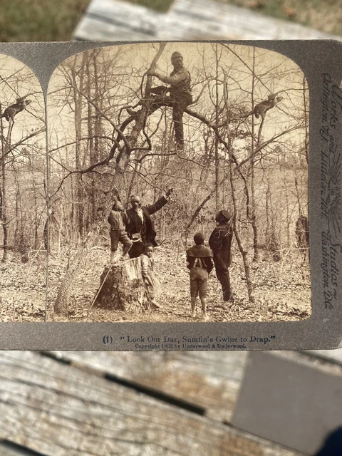 lot of four antique African-American black americana stereoview cards