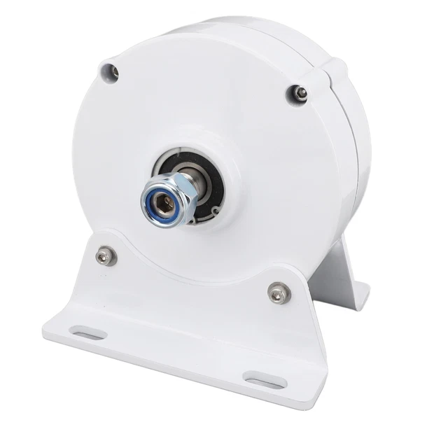 100 W) Generatore di magneti permanenti doppio albero 24 V generatore sincrono 3 fasi
