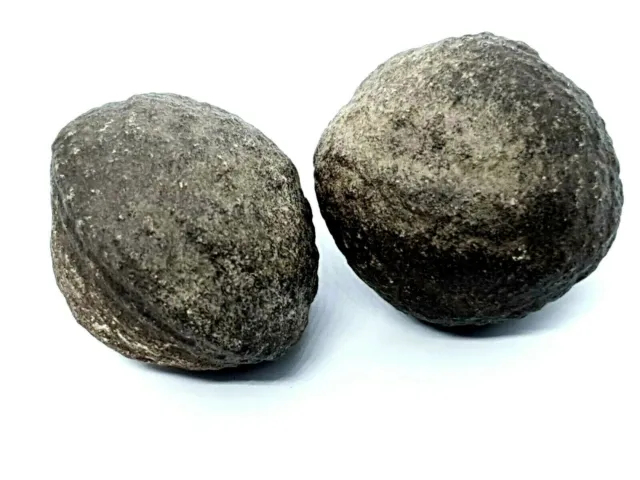 Boji Shaman Stones 3cm Approx Moqui Marbles Male Female Pop Rocks Certi & Bag
