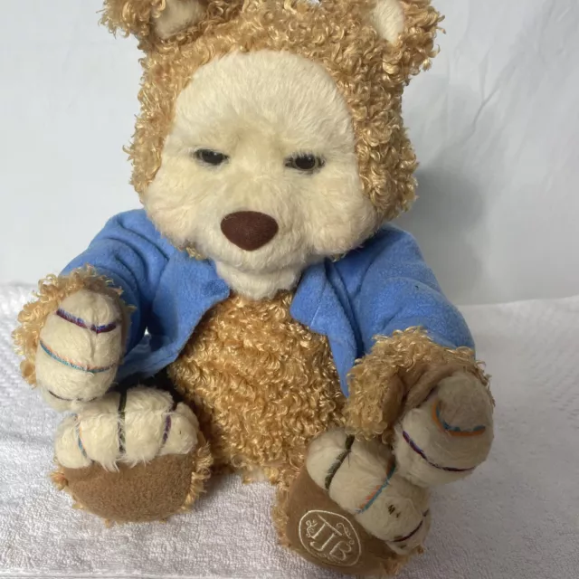 PLAYSKOOL TJ BEARYTALES Interactive Talking Singing Brown Teddy Bear ...
