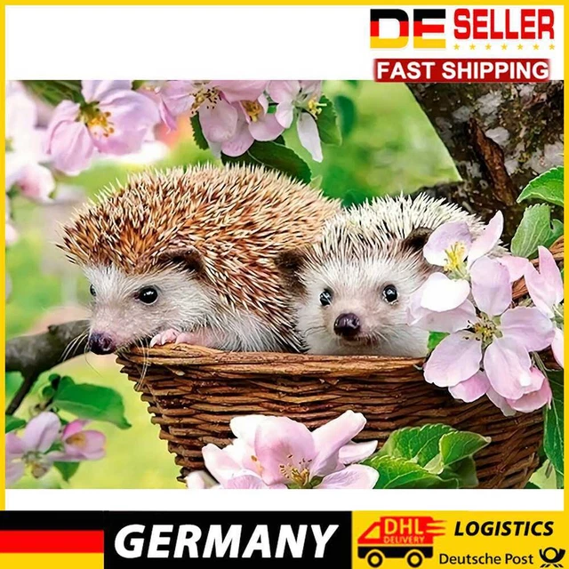 Two Hedgehogs DIY Full Drill Diamond Painting Bead Art Mosaic Kit Picture