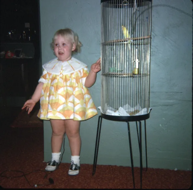 1967 Toddler Girl Yellow Dress Saddle Shoes Bird in Cage Vintage 126 Slide