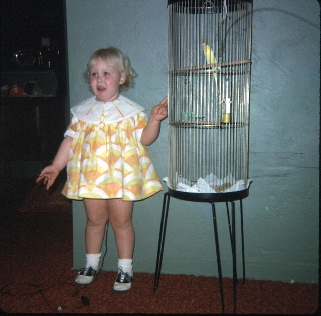 1967 Toddler Girl Yellow Dress Saddle Shoes Bird in Cage Vintage 126 Slide 1967 Toddler Girl Yellow Dress Saddle Shoes Bird in Cage Vintage 126 Slide