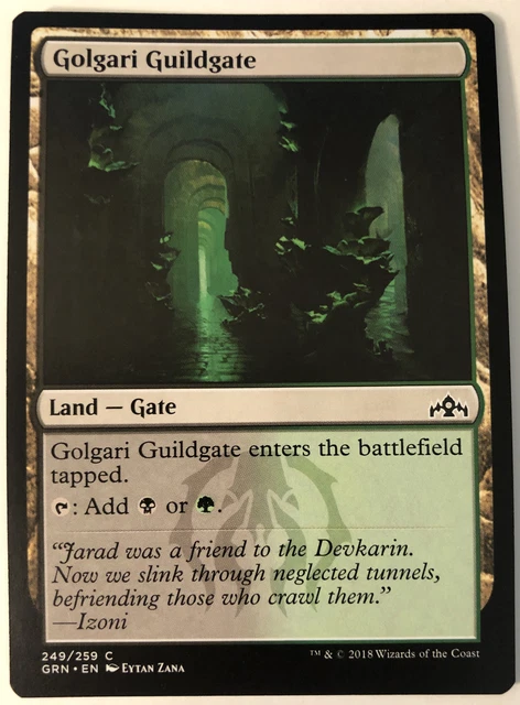 Golgari Guildgate 2x FOIL RTR MTG Return to Ravnica Common MINT black green land