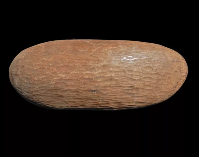 OLD ABORIGINAL  COOLAMON Central Desert N.T.  34cm