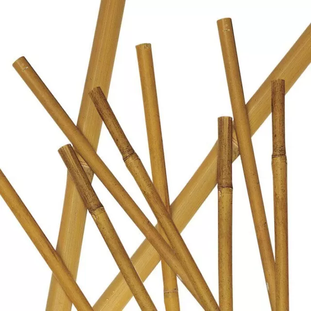 Canne di bambu + Misure e diametri, per piante, tutore orto, decorazione, bamboo