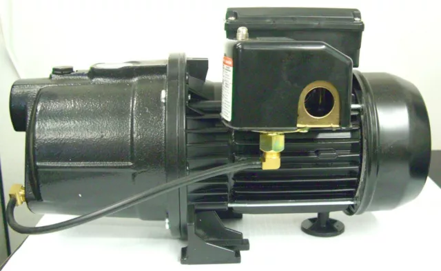 Dayton Jet Pump 3/4hp 4TB33 1 Phase 8,6 AMPÈRES 60 Hz 115V NEUF LIVRAISON RAPIDE