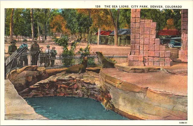 Postcard The Sea Lions City Park Denver Colorado *C5437
