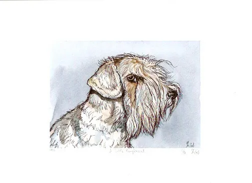 Sealyham Terrier Limited Edition Art Print by Elle Wilson A Little Complacent*