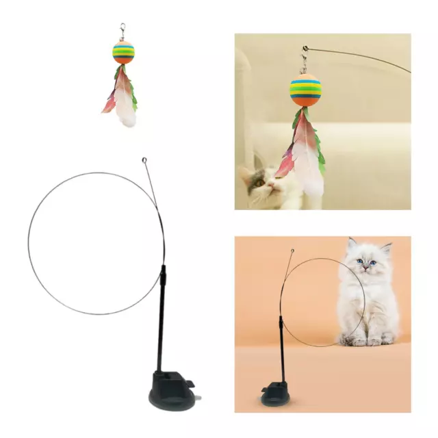 Jouet en plumes pour chat Jouets interactifs pour chat Accessoires pour chat à