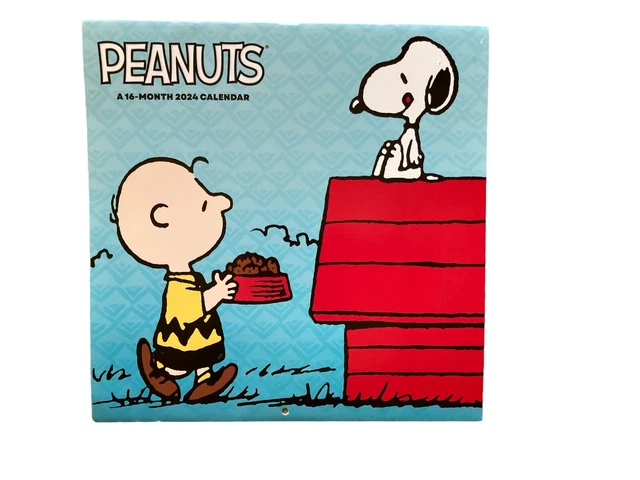 PEANUTS CHARLIE BROWN 2024 Calendar Large 12 inches x 12 inches NEW $16.95 - PicClick