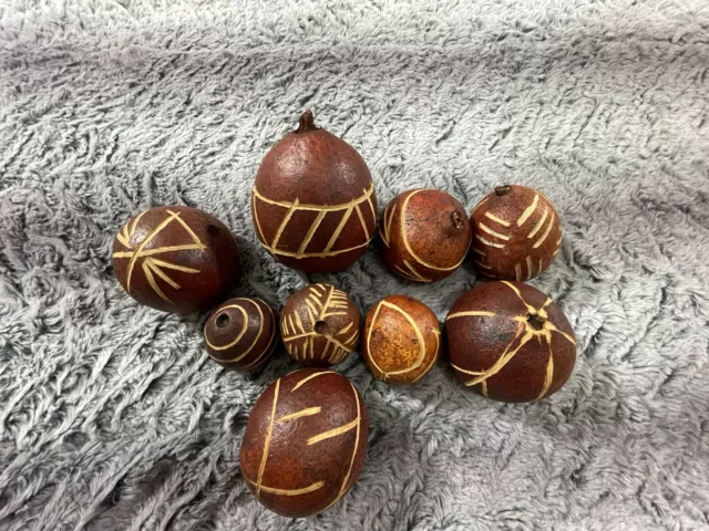 Dried Kuchila Seed Pods Lot of 9 Hand Grooved Kuchila Pods Different Sizes