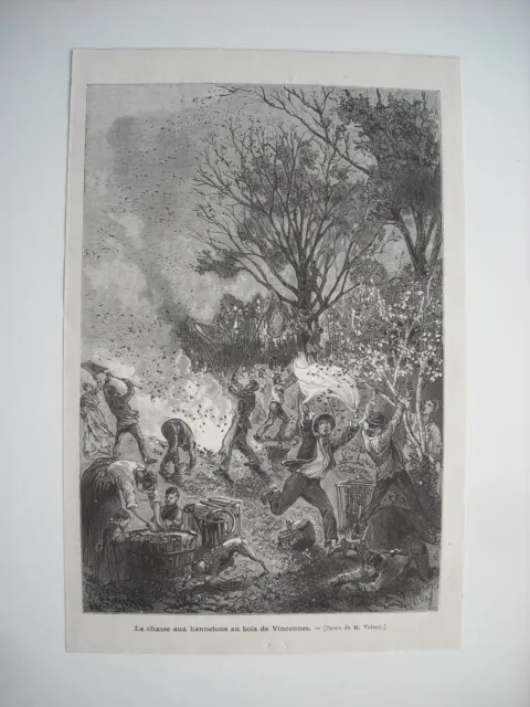 Gravure 1874. La Chasse Aux Hannetons Au Bois De Vincennes. Par Valnay.