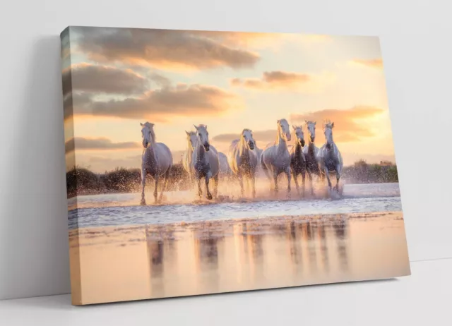 Wild White Horses Running On Water Sunset Canvas Wall Artwork Picture Print