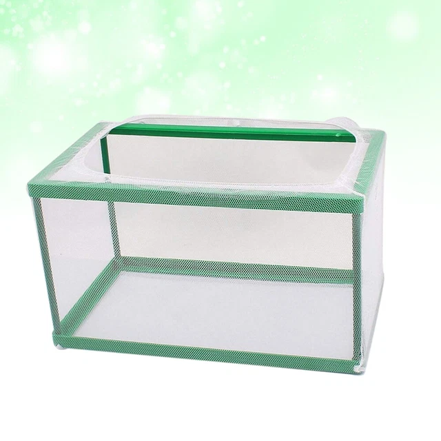 Caja de criador de peces de acuario práctica caja de aislamiento criador peces bronceado