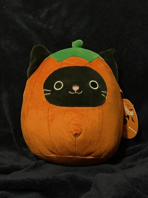 cat pumpkin squishmallow