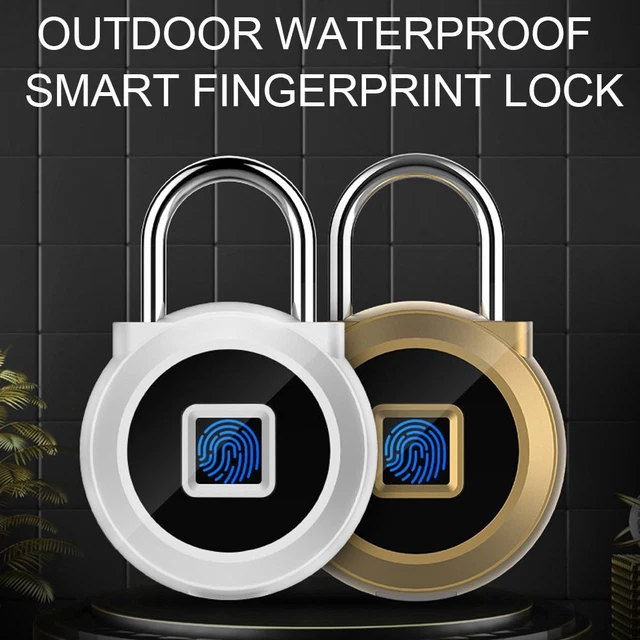 digitale Cadenas électronique d'empreinte digitale Serrure d'armoire