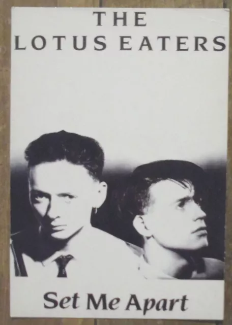 Carte postale THE LOTUS EATERS Set me Apart   postcard