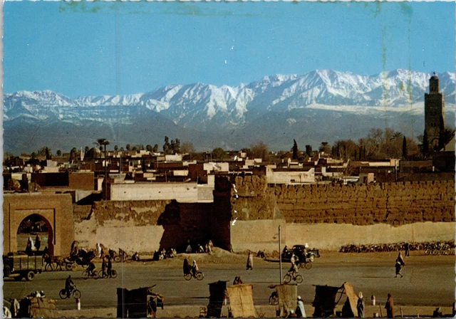 CPM MOROCCO Le Maroc picturesque. Marrakech   Vintage  Postcard  ipc6.