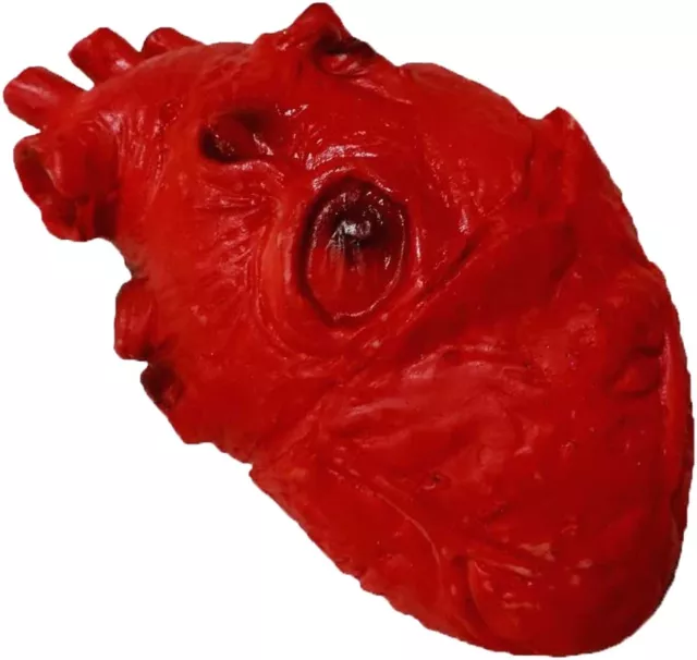 Soft Latex LIFE SIZE FAKE HUMAN HEART Gory Body Part Scary Halloween Horror Prop