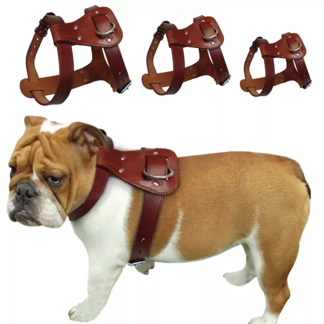 Genuine Leather Dog Harness Heavy Duty Pet Training Vest for Medium Large Dogs